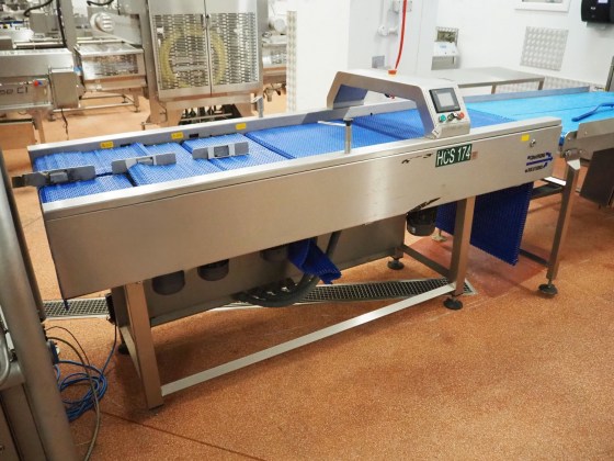Converging Conveyor Pic 01